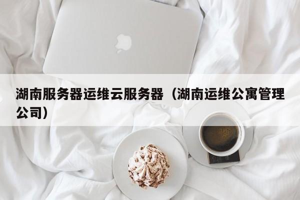 湖南服务器运维云服务器（湖南运维公寓管理公司）