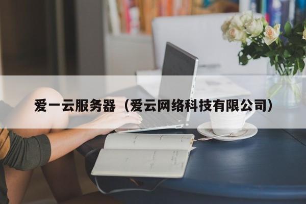 爱一云服务器（爱云网络科技有限公司）