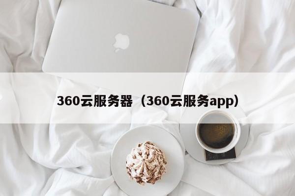 360云服务器（360云服务app）