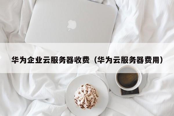 华为企业云服务器收费（华为云服务器费用）