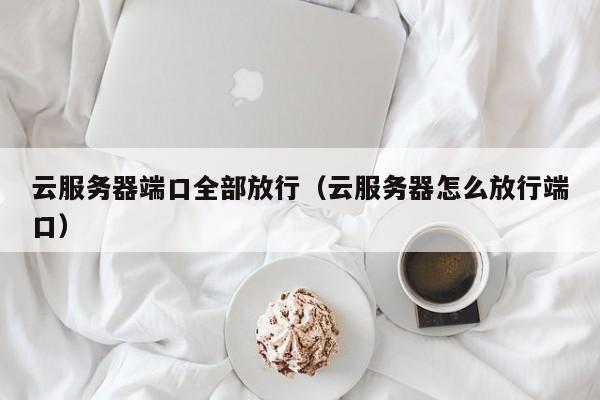 云服务器端口全部放行（云服务器怎么放行端口）