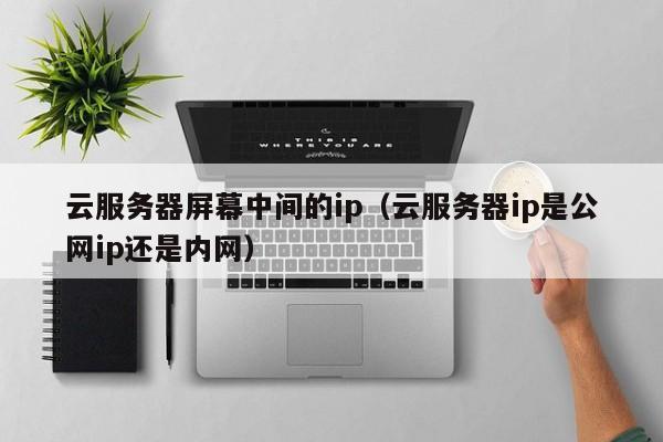 云服务器屏幕中间的ip（云服务器ip是公网ip还是内网）