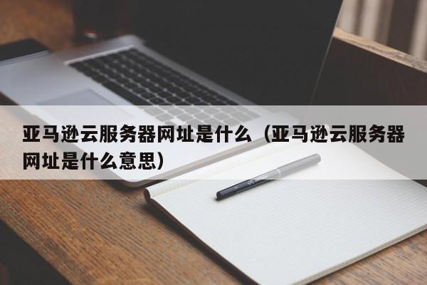 亚马逊云服务器网址是什么（亚马逊云服务器网址是什么意思）