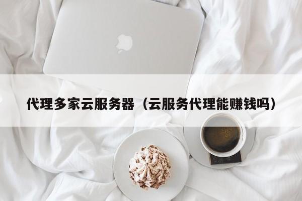 代理多家云服务器（云服务代理能赚钱吗）