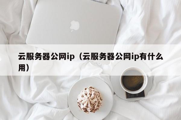 云服务器公网ip（云服务器公网ip有什么用）