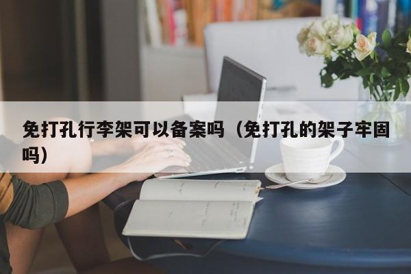 免打孔行李架可以备案吗（免打孔的架子牢固吗）