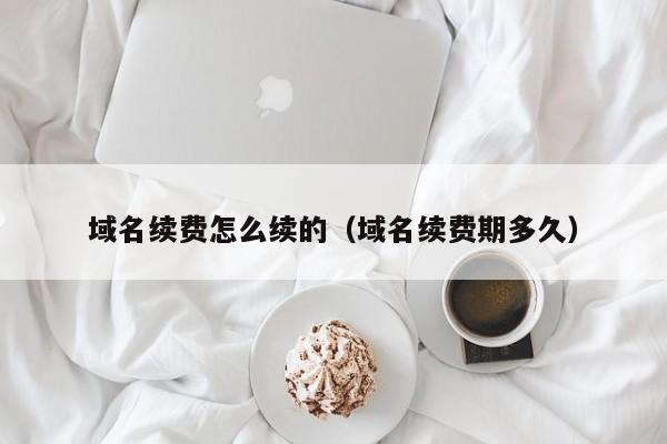 域名续费怎么续的（域名续费期多久）