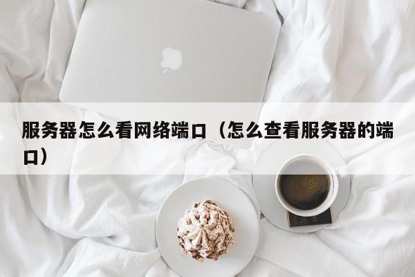 服务器怎么看网络端口（怎么查看服务器的端口）