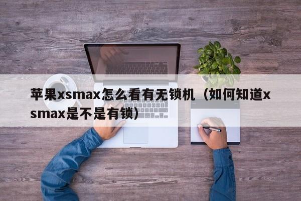 苹果xsmax怎么看有无锁机（如何知道xsmax是不是有锁）