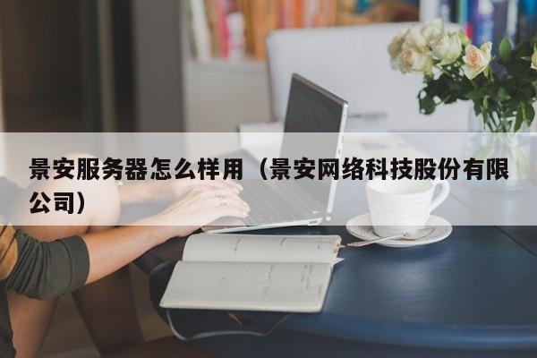 景安服务器怎么样用（景安网络科技股份有限公司）