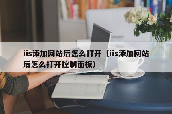 iis添加网站后怎么打开（iis添加网站后怎么打开控制面板）