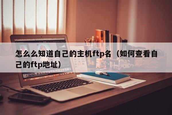 怎么么知道自己的主机ftp名（如何查看自己的ftp地址）