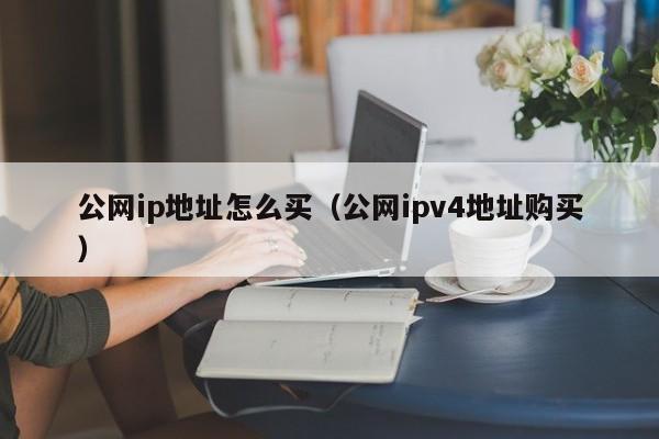 公网ip地址怎么买（公网ipv4地址购买）