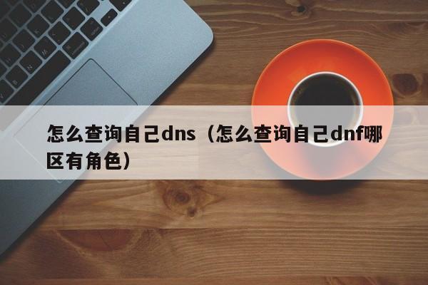 怎么查询自己dns（怎么查询自己dnf哪区有角色）