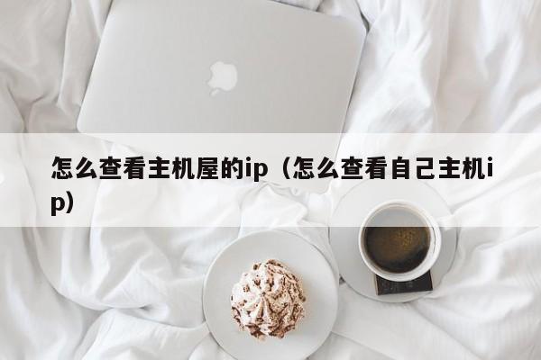 怎么查看主机屋的ip（怎么查看自己主机ip）