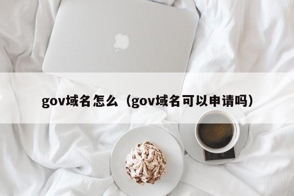 gov域名怎么（gov域名可以申请吗）