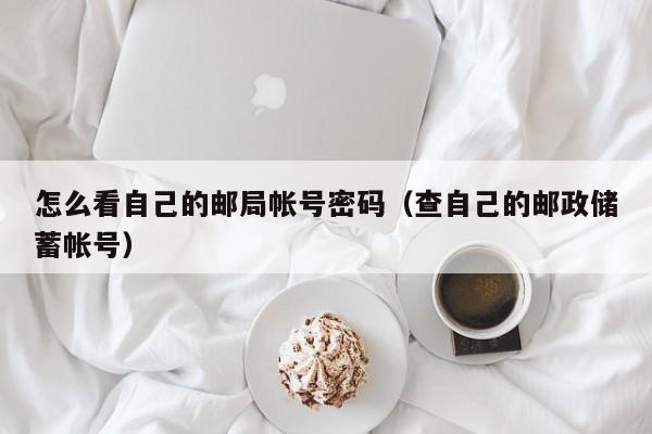 怎么看自己的邮局帐号密码（查自己的邮政储蓄帐号）