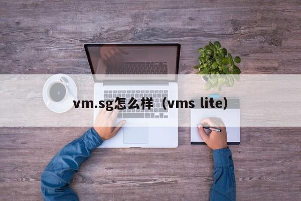 vm.sg怎么样（vms lite）