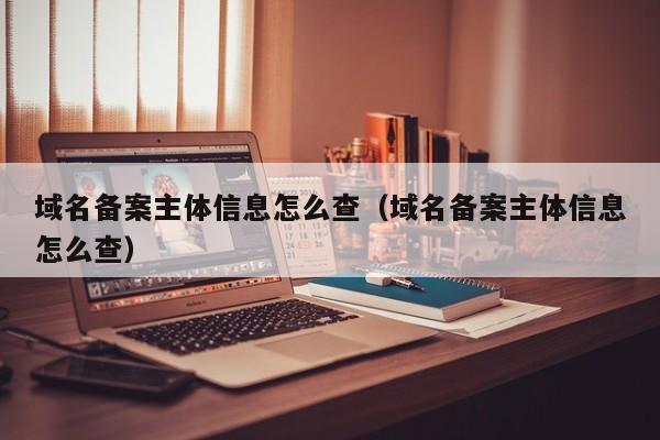 域名备案主体信息怎么查（域名备案主体信息怎么查）