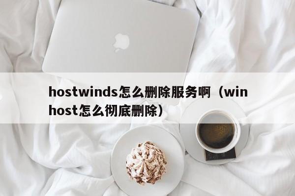 hostwinds怎么删除服务啊（winhost怎么彻底删除）