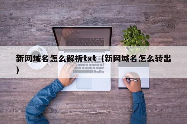 新网域名怎么解析txt（新网域名怎么转出）