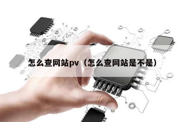 怎么查网站pv（怎么查网站是不是）