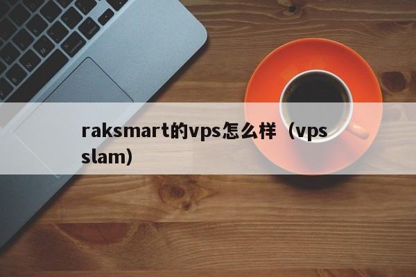 raksmart的vps怎么样（vps slam）