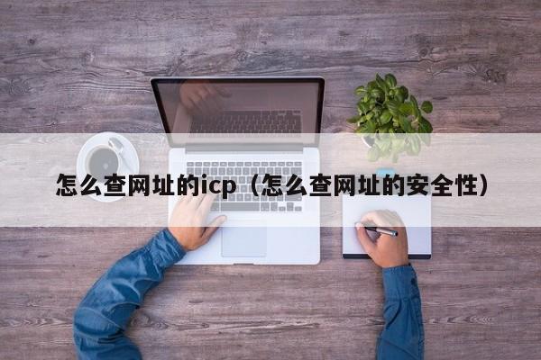 怎么查网址的icp（怎么查网址的安全性）