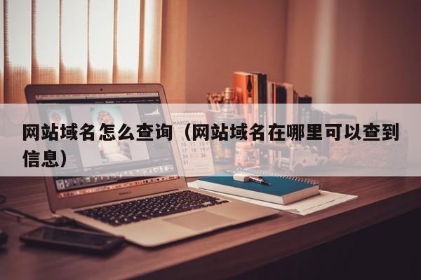 网站域名怎么查询（网站域名在哪里可以查到信息）