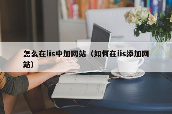 怎么在iis中加网站（如何在iis添加网站）