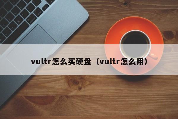 vultr怎么买硬盘（vultr怎么用）