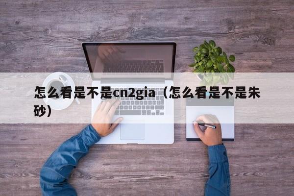 怎么看是不是cn2gia（怎么看是不是朱砂）