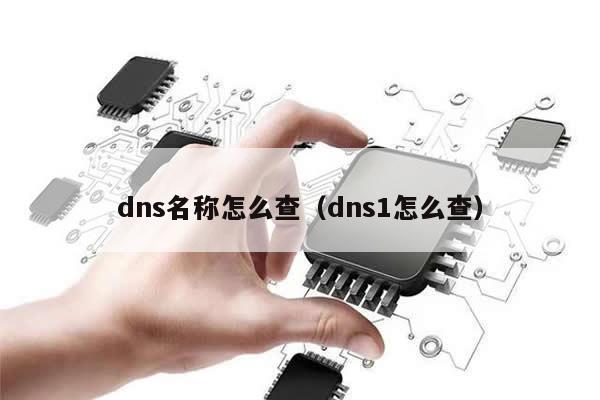 dns名称怎么查（dns1怎么查）