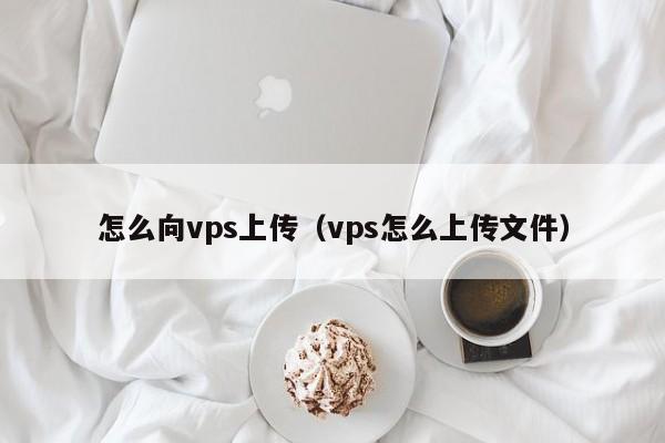 怎么向vps上传（vps怎么上传文件）