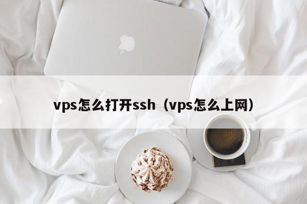 vps怎么打开ssh（vps怎么上网）