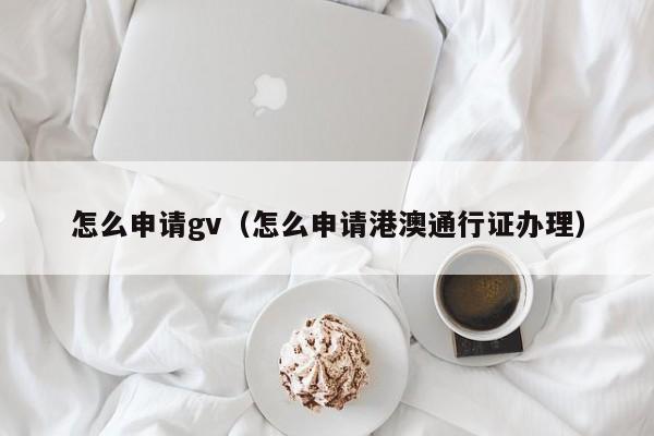 怎么申请gv（怎么申请港澳通行证办理）