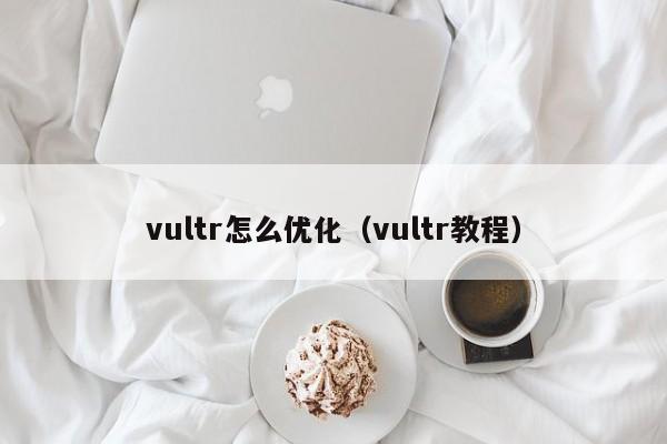 vultr怎么优化（vultr教程）