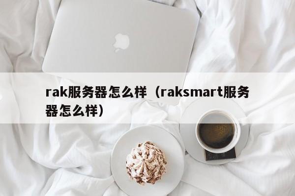 rak服务器怎么样（raksmart服务器怎么样）