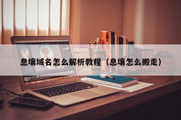 息壤域名怎么解析教程（息壤怎么搬走）