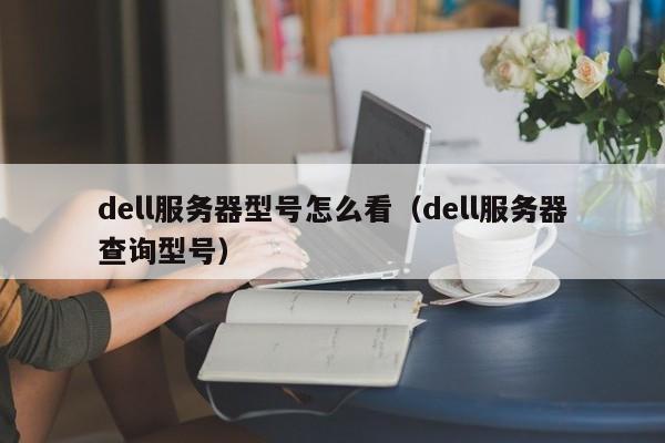 dell服务器型号怎么看（dell服务器查询型号）