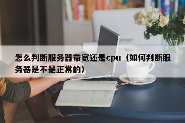 怎么判断服务器带宽还是cpu（如何判断服务器是不是正常的）