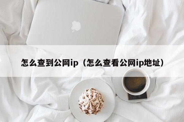 怎么查到公网ip（怎么查看公网ip地址）