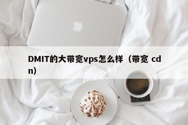 DMIT的大带宽vps怎么样（带宽 cdn）