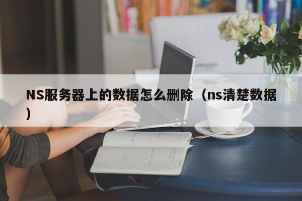 NS服务器上的数据怎么删除（ns清楚数据）