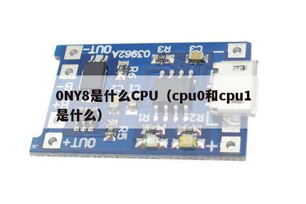 0NY8是什么CPU（cpu0和cpu1是什么）