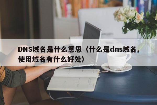 DNS域名是什么意思（什么是dns域名,使用域名有什么好处）