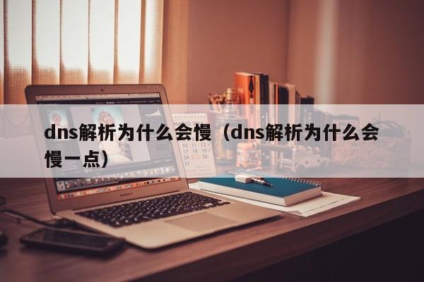 dns解析为什么会慢（dns解析为什么会慢一点）