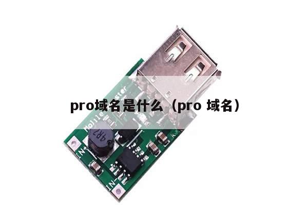 pro域名是什么（pro 域名）