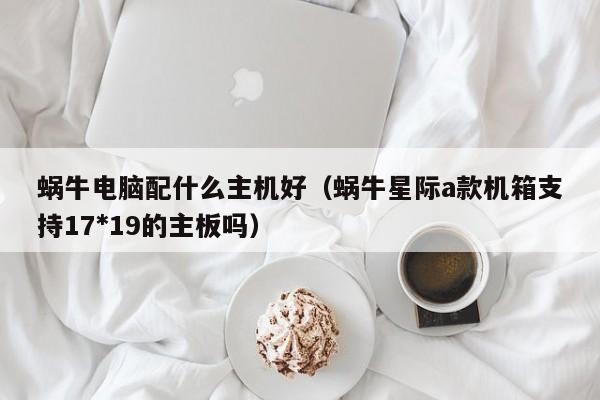 蜗牛电脑配什么主机好（蜗牛星际a款机箱支持17*19的主板吗）