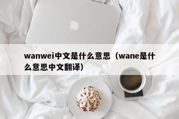 wanwei中文是什么意思（wane是什么意思中文翻译）